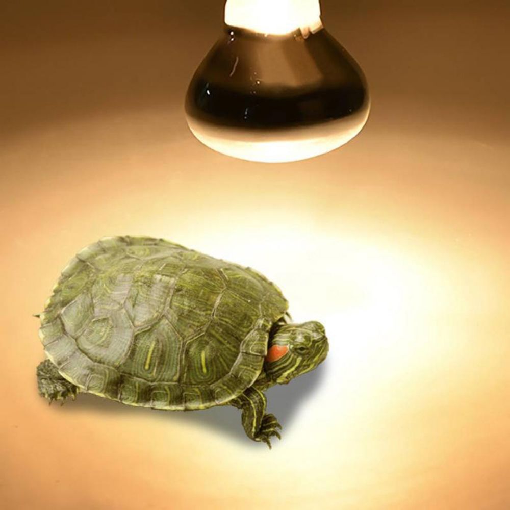 Basking Bulb Halogen - Lampe chauffante pour lézards, lumière UVA,