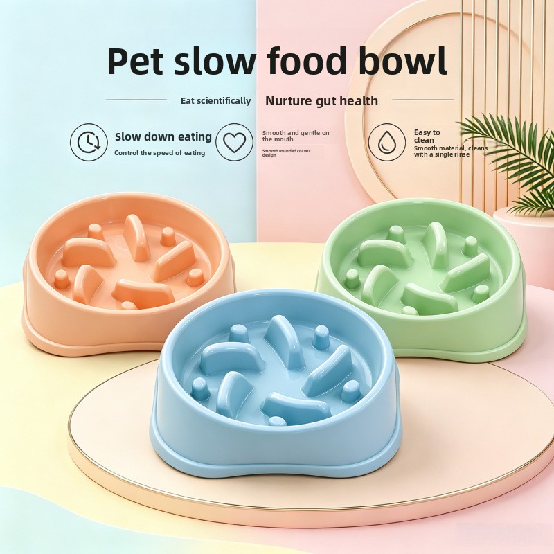 Royal Canin Food Medium - Bol antidérapant pour chien, 1/3 pièces,