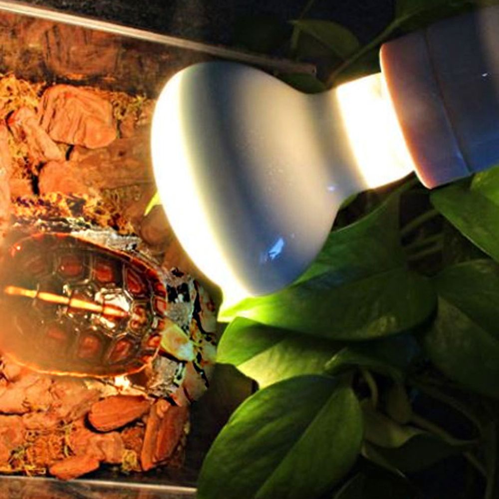 Basking Bulb Halogen - Contrôleur de température pour terrarium, lampe