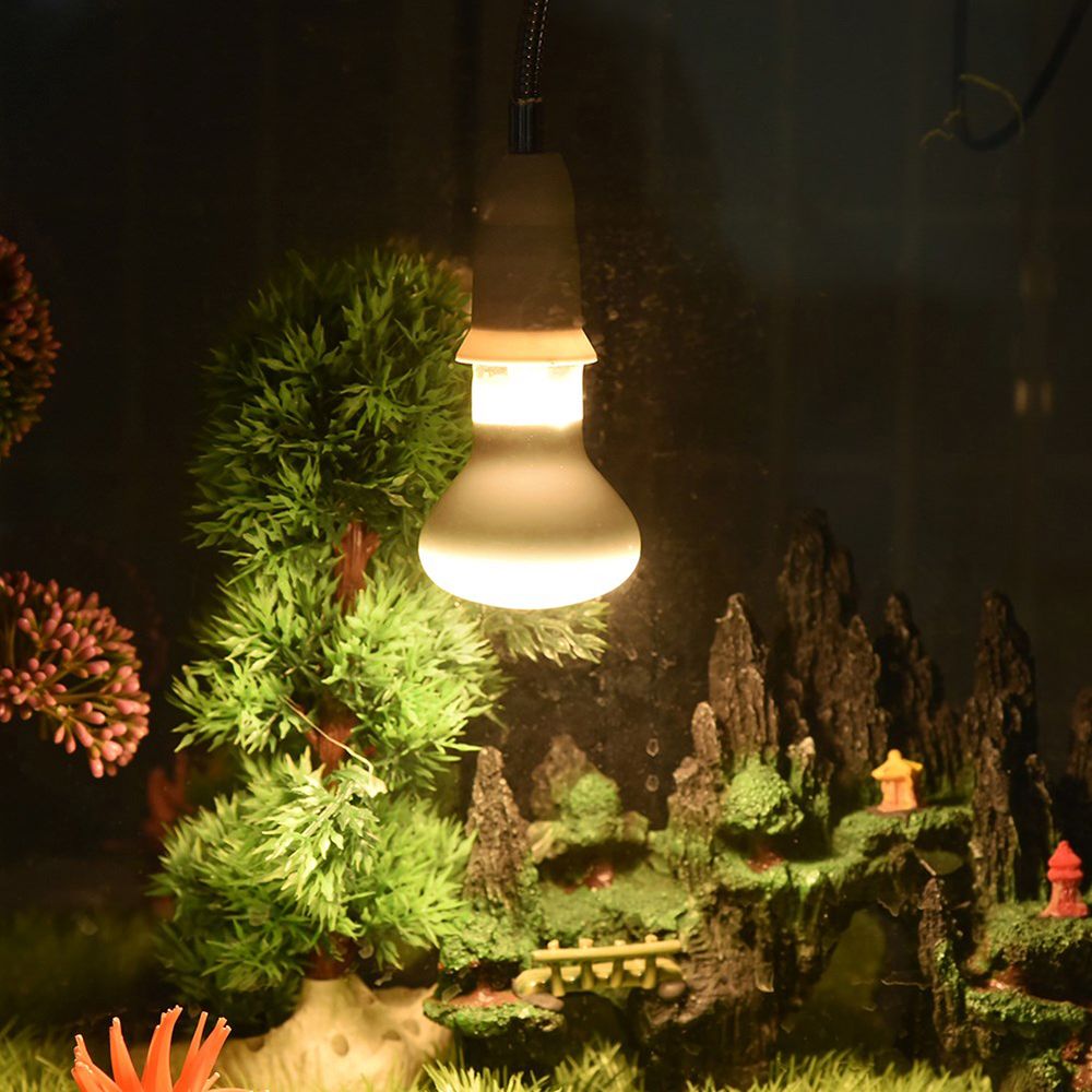 Basking Bulb Halogen - Lampe chauffante pour amphibiens, lumière UVA,