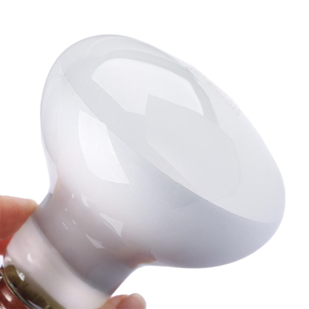 Basking Bulb Halogen - Contrôleur de température pour tortue, lampe
