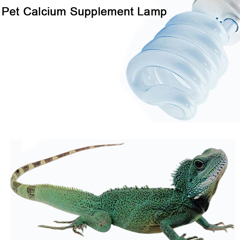 Calcium Powder Reptile - E27 13 W/26 W Reptile Uvb