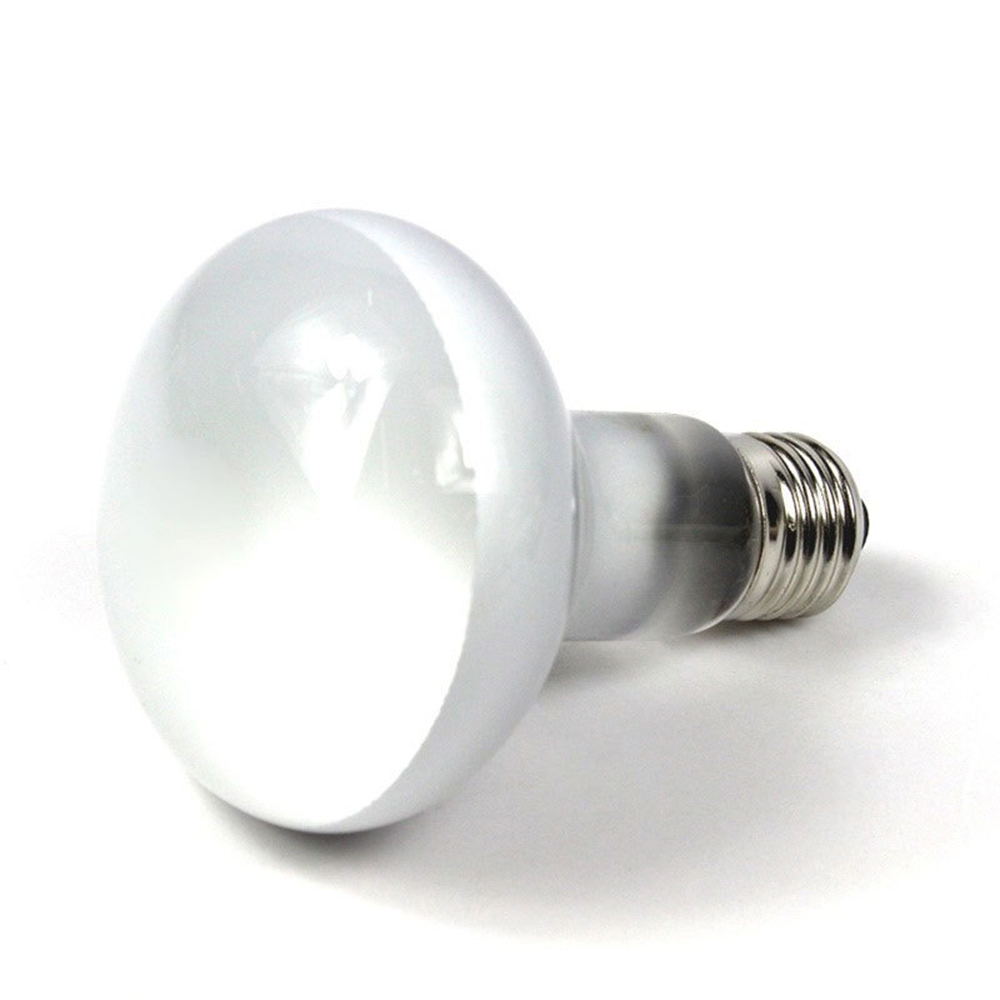 Contrôleur de température pour - Basking Bulb Halogen avis et prix