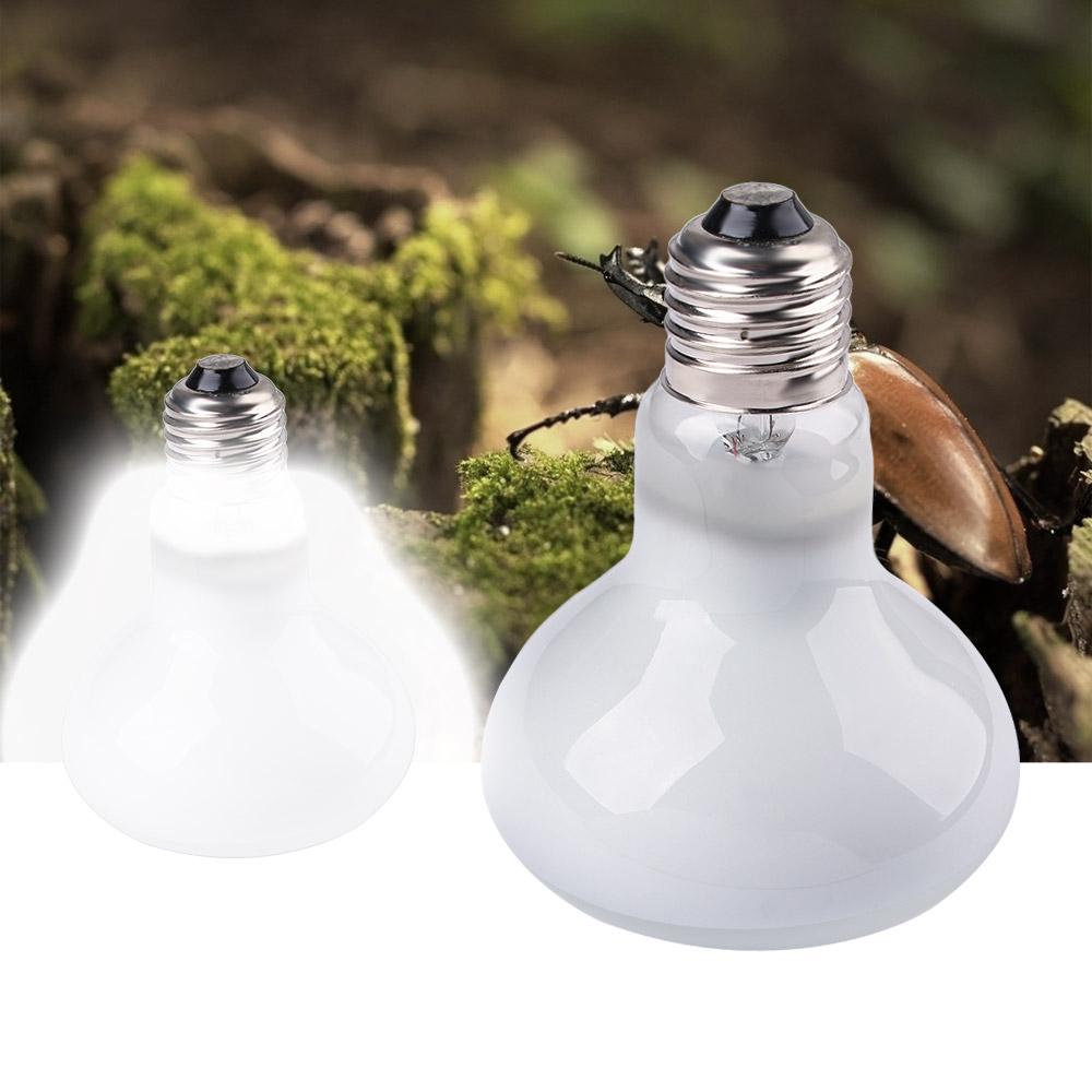 Lampe chauffante pour reptiles - Basking Bulb Halogen avis et prix