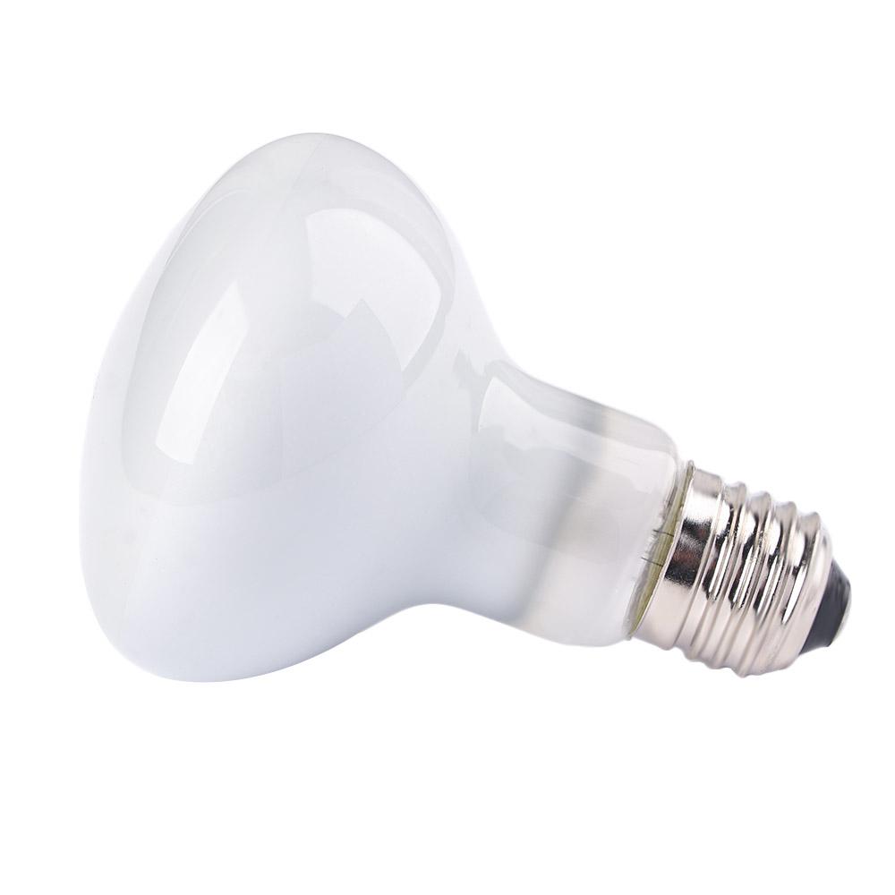 Lampe chauffante pour amphibie - Basking Bulb Halogen avis et prix