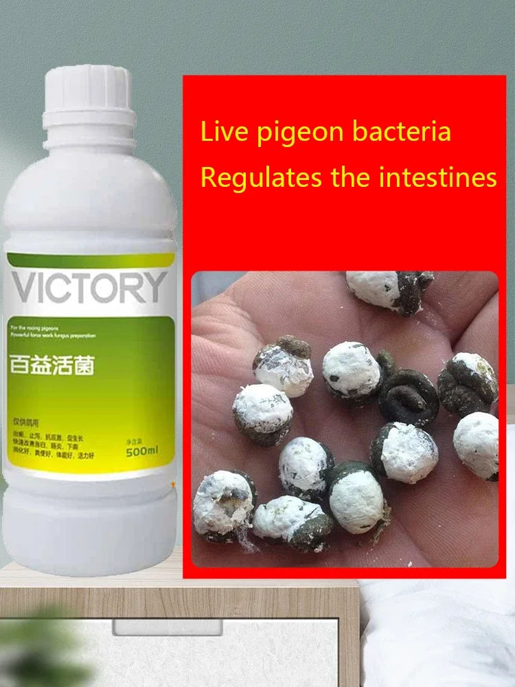 500ml viande Pigeon course Pig - Vitamin D3 Reptile avis et prix