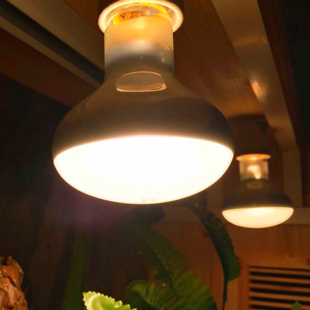 Lampe chauffante pour amphibie - Basking Bulb Halogen avis et prix