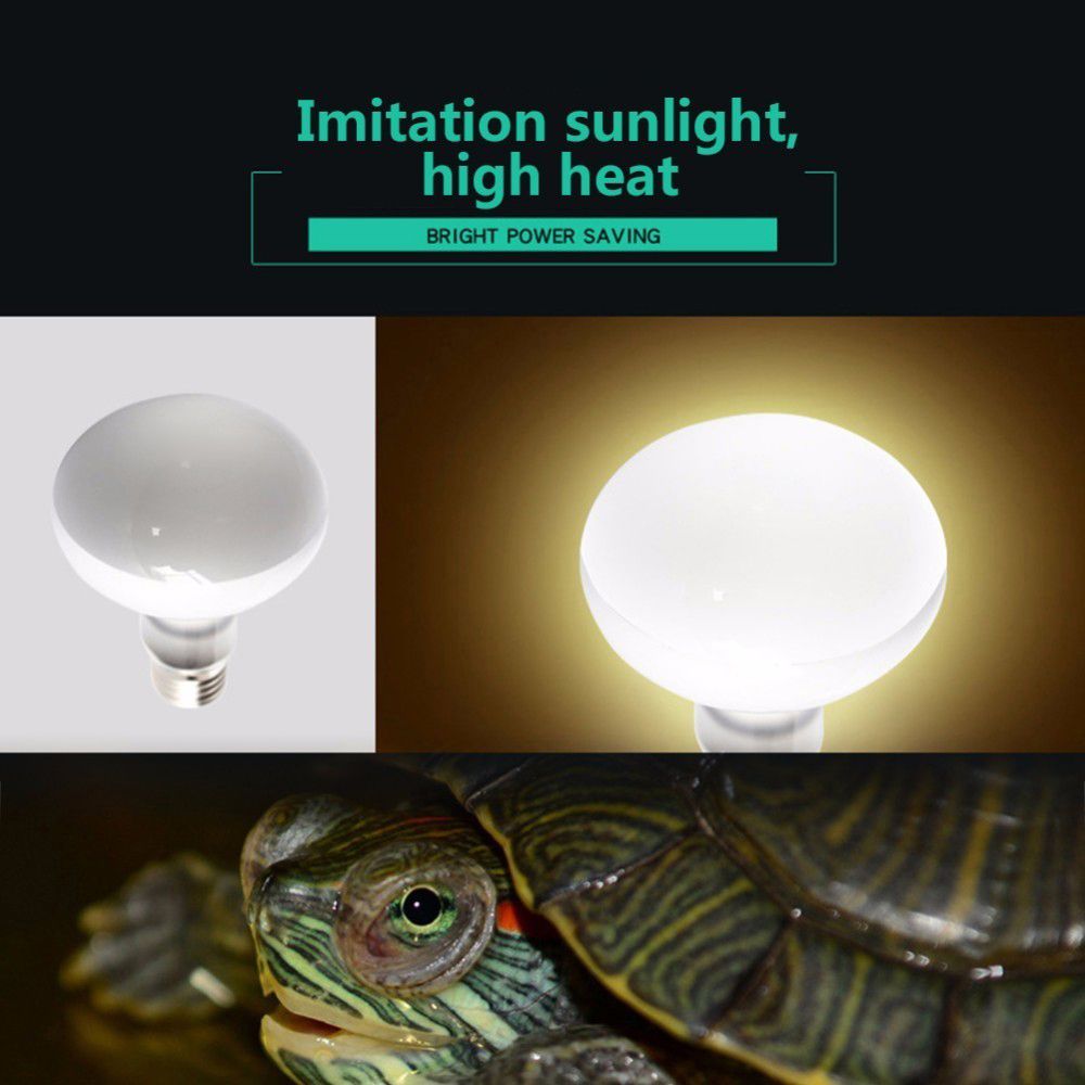 Lampe chauffante pour amphibie - Basking Bulb Halogen avis et prix