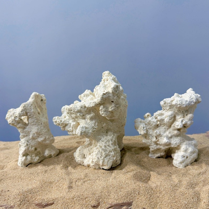 Décoration d'aquarium en céram - Hide Cave Ceramic avis et prix
