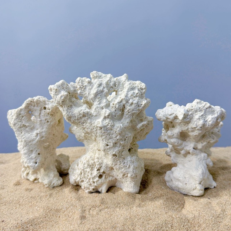 Décoration d'aquarium en céram - Hide Cave Ceramic avis et prix
