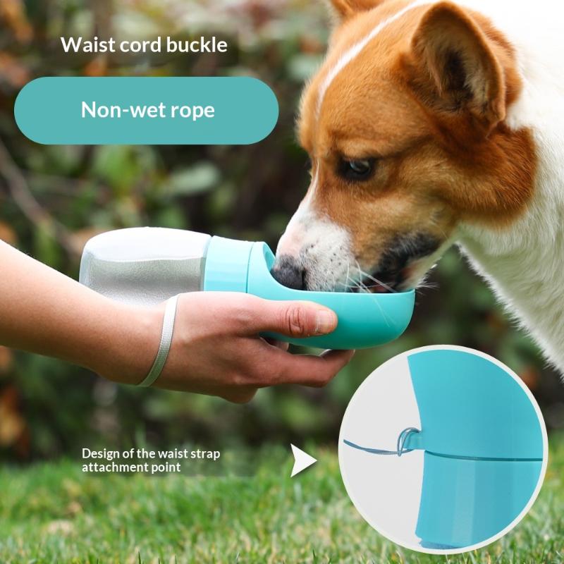 Bouteille d'eau portable pour  - Royal Canin Food Medium avis et prix