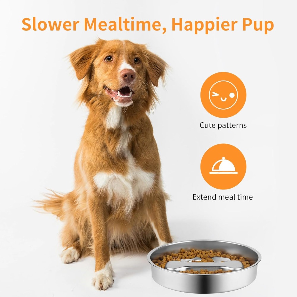 Gamelle anti-glouton pour chie - Royal Canin Food Medium avis et prix