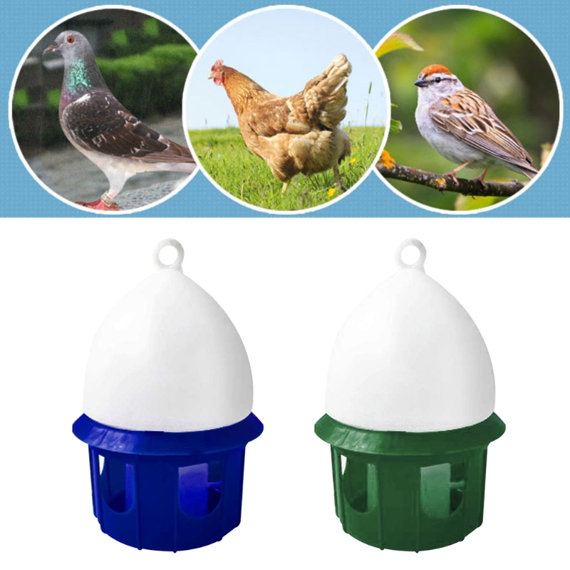 Distributeur d'eau pour pigeon - Vitamin D3 Reptile avis et prix