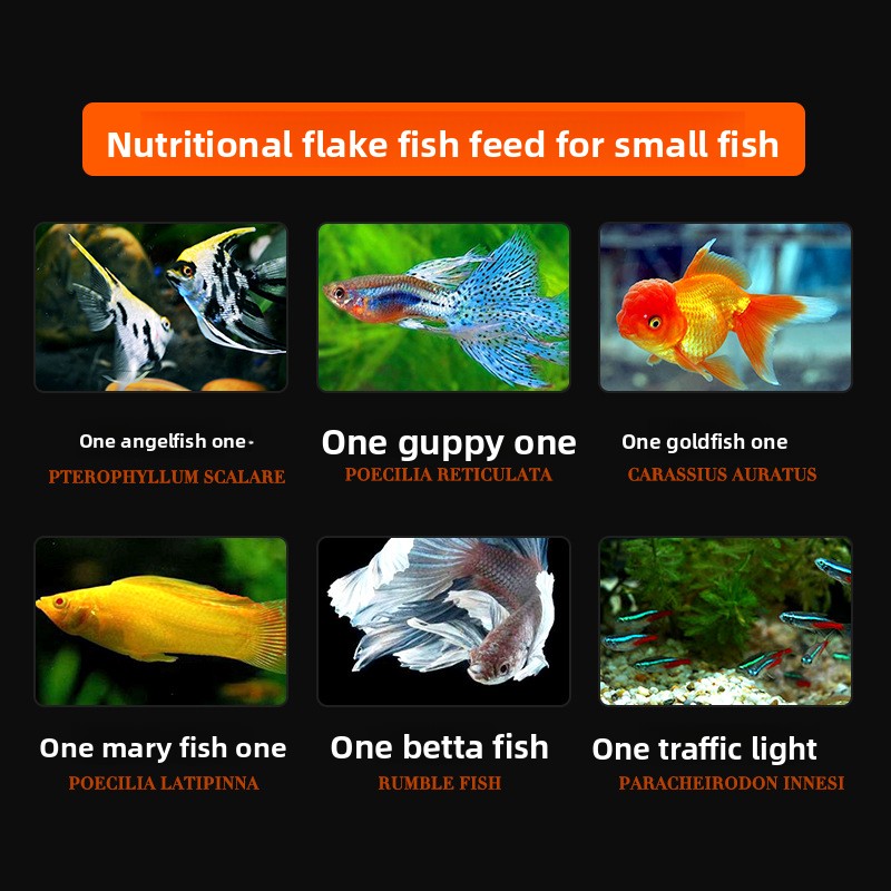 DaJiaWa – aliments pour poisso - Tetra Food Goldfish Flakes avis et prix