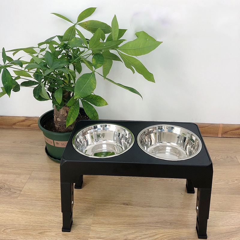BOOTEELY-Mangeoire surélevée p - Royal Canin Food Medium avis et prix