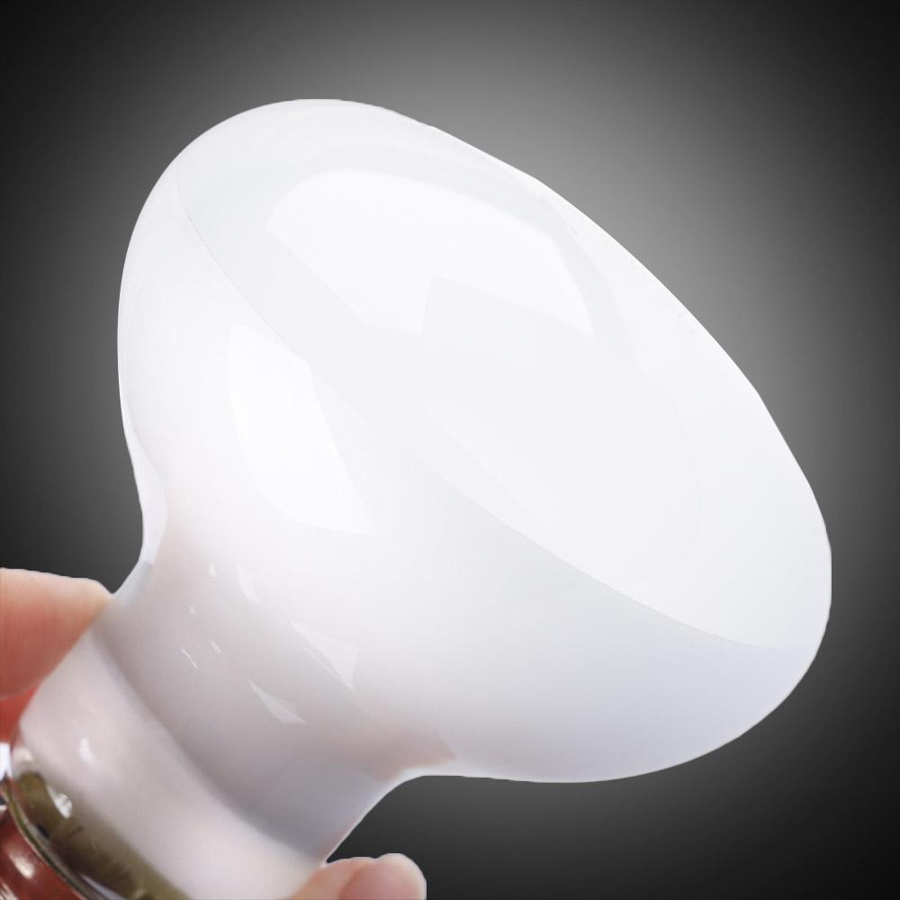 Lampe chauffante pour amphibie - Basking Bulb Halogen avis et prix