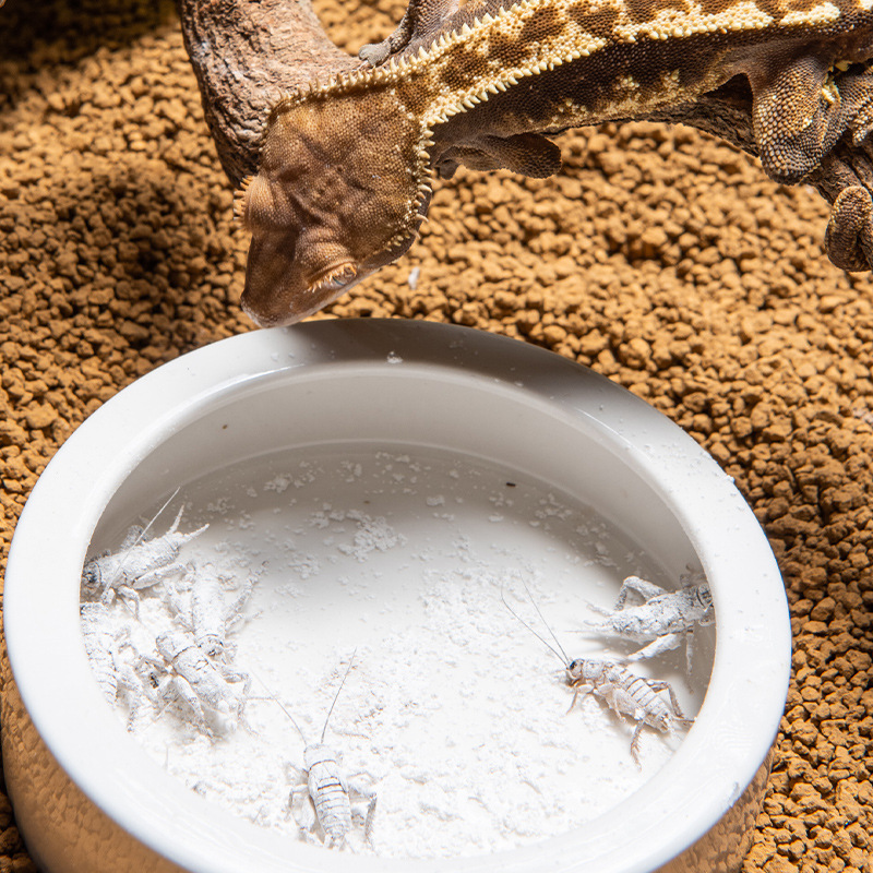 SuperRep Reptile Calcium Pro-V - Vitamin D3 Reptile avis et prix