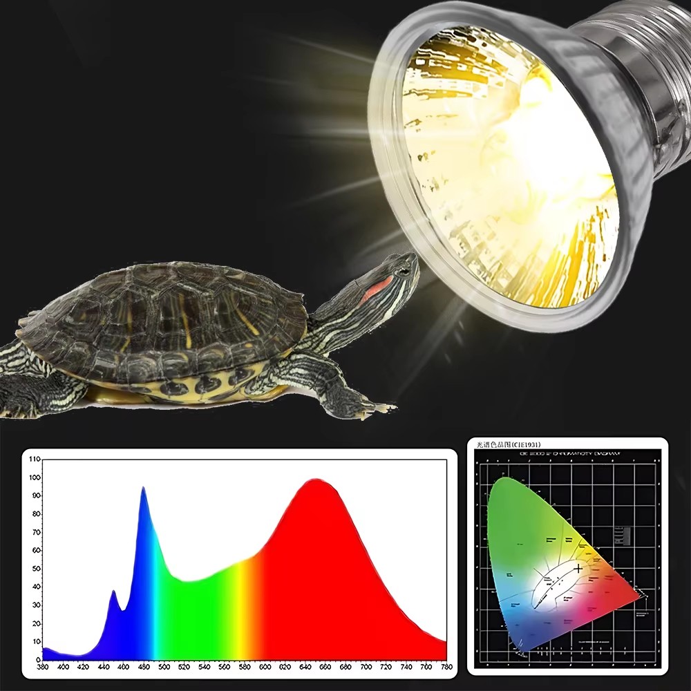 Lampe chauffante à spectre com - Calcium Powder Reptile avis et prix