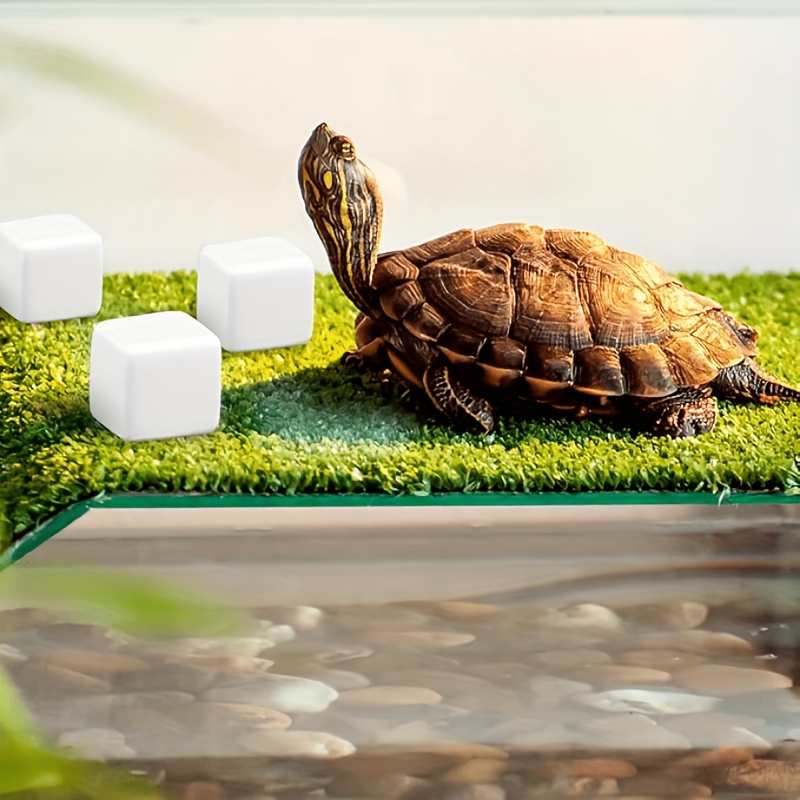 Bloc de Calcium pour Aquarium, - Calcium Powder Reptile avis et prix
