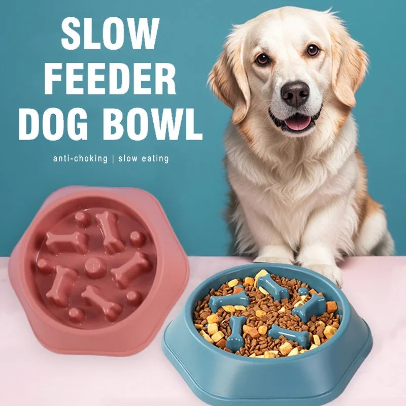1 pièce Gamelle anti-étouffeme - Royal Canin Food Medium avis et prix